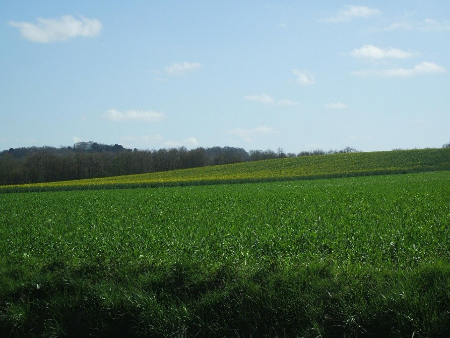 КУПИМО ВАШ ПАЙ Тернопіль - зображення 1