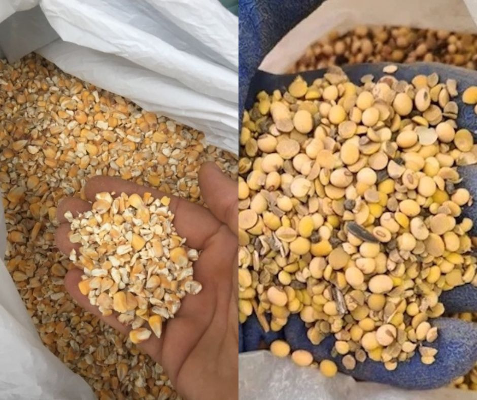 Закуповуємо половинки сої, биту кукурудзу по Україні Рівне - зображення 1