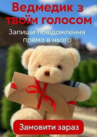Плюшевий ведмедик з вашим голосом | Подарунок з аудіо-повідомленням (3 кольори) Львов