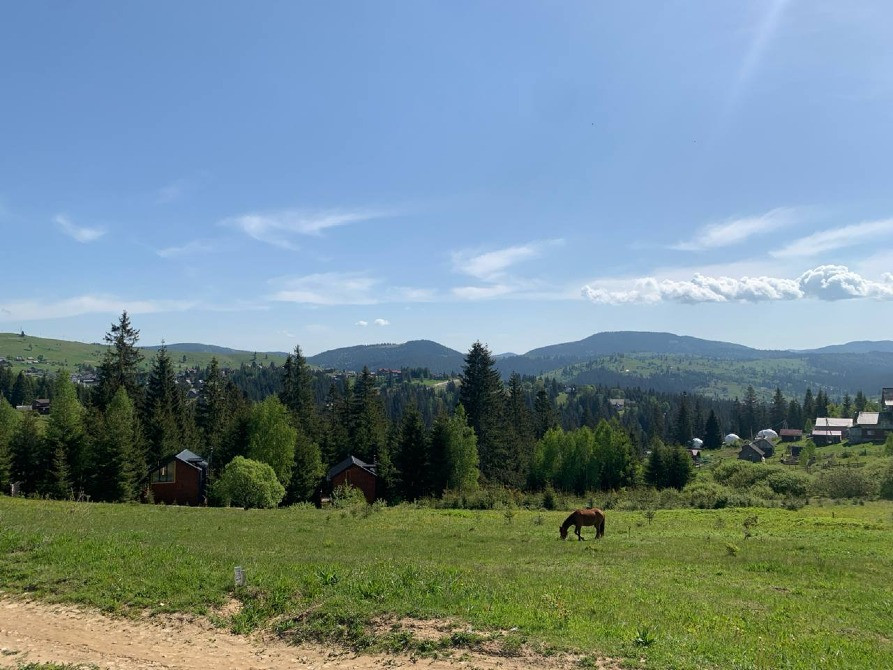 Земельна ділянка с. Яблуниця 0.35га Яремче - изображение 2