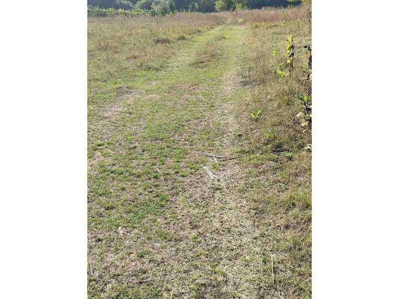 продажа земля сельскохозяйственного назначения Сквирский, Пищики, 92500 грн.  - изображение 2