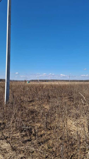 продажа земля сельскохозяйственного назначения Белоцерковский, Белая Церковь, 15000 $ Белая Церковь - изображение 2