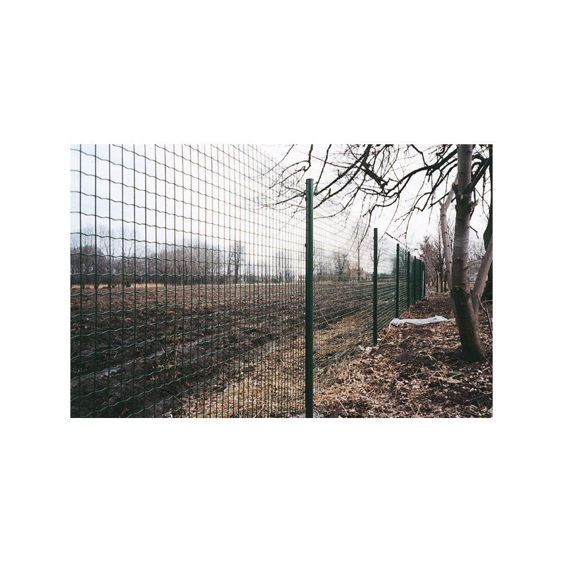 Сітка зварна рулон 2,0х10м вічко 50х50мм (ПВХ) (КИЇВ) Київ - зображення 2