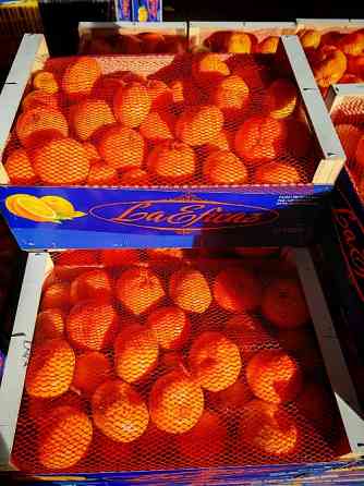 Продаем мандарины Киев