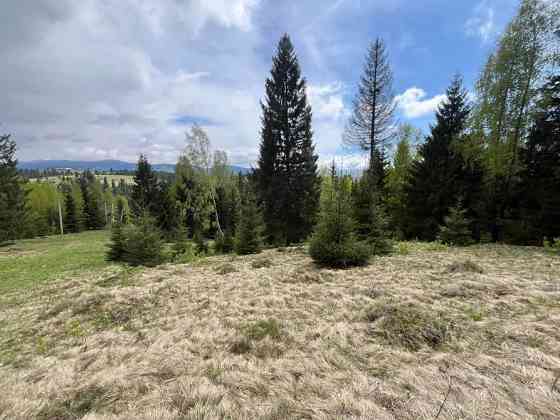 Земельна ділянка в Яблуниці 0.42 га Яремче