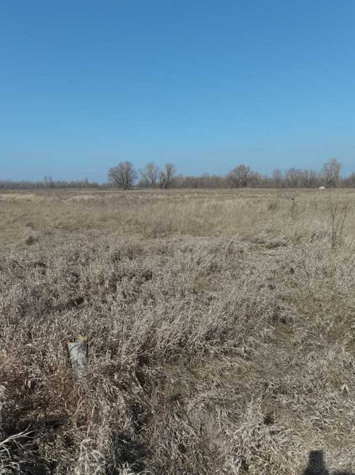 продажа земля сельскохозяйственного назначения Броварский, Погребы, 14000 $  - зображення 1