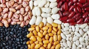 Купуємо квасолю із самовивозом Тернопіль - зображення 1