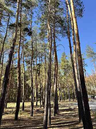 продажа участок под жилую застройку Новомосковский, Песчанка, 19950 $ 