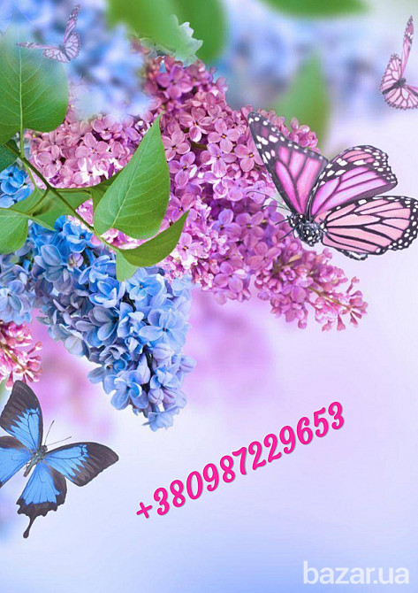 Душевные стихи на заказ - прекрасный подарок Одеса - зображення 1