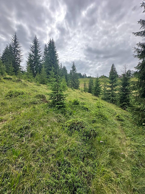 Продаж земельної ділянки в с. Яблуниця, навпроти ресторану "Грань" Івано-Франківськ - зображення 1