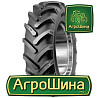 Mitas TD-02 320/85 R24 120A6/112A8 PR8 Киев