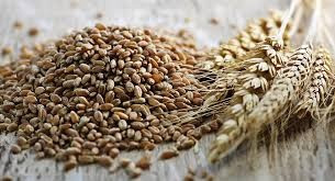 Закуповую некондицію, зерновідходи, прострочений посівний матеріал Київ - зображення 1