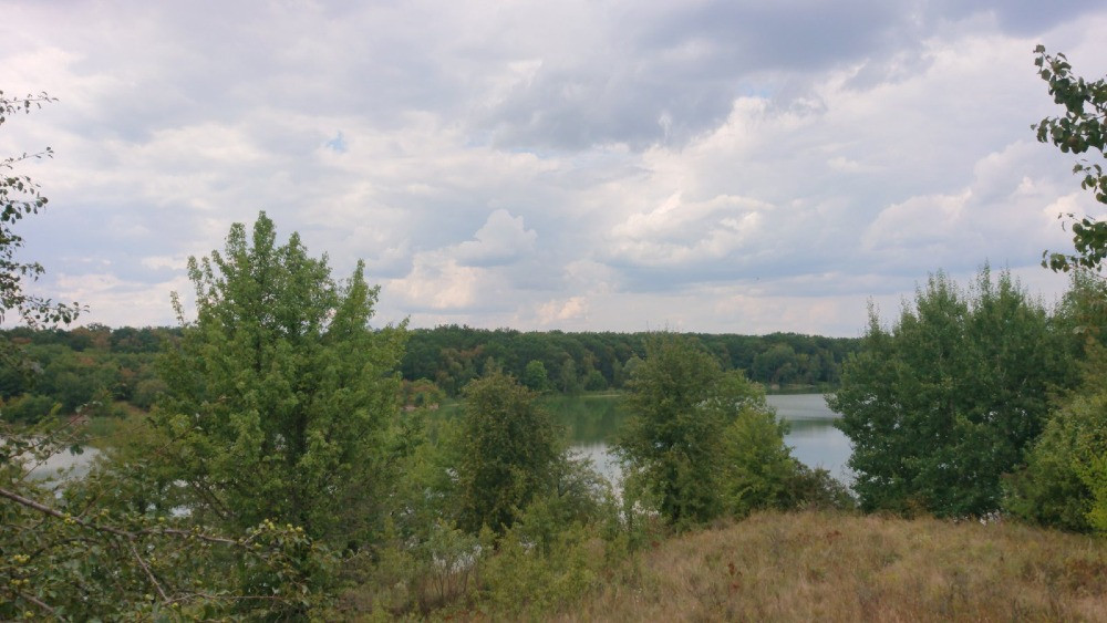 Продається земельна ділянка в мальовничому селі Пилипа! Белая Церковь - изображение 7