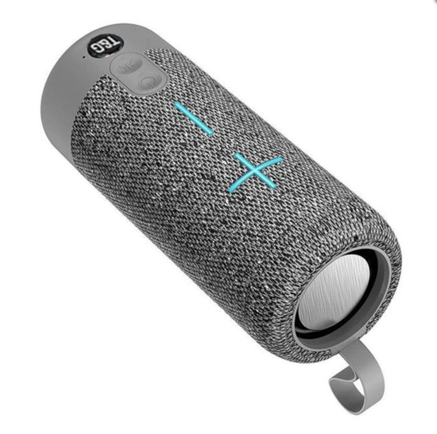 Колонка портативная Bluetooth T&G TG619C grey серая Київ - зображення 1