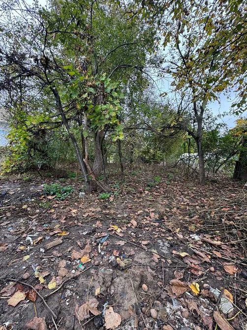 продажа земля сельскохозяйственного назначения Бориспольский, Чубинское, 18000 $  - зображення 10