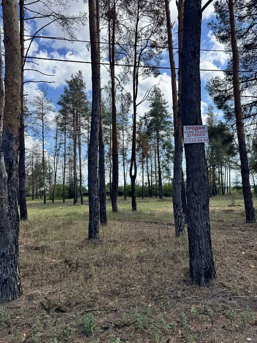 продажа участок под жилую застройку Новомосковский, Песчанка, 12500 $  - изображение 4