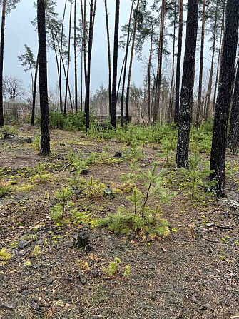 продажа участок под жилую застройку Бородянский, Клавдиево-Тарасово, 15750 $  - зображення 2