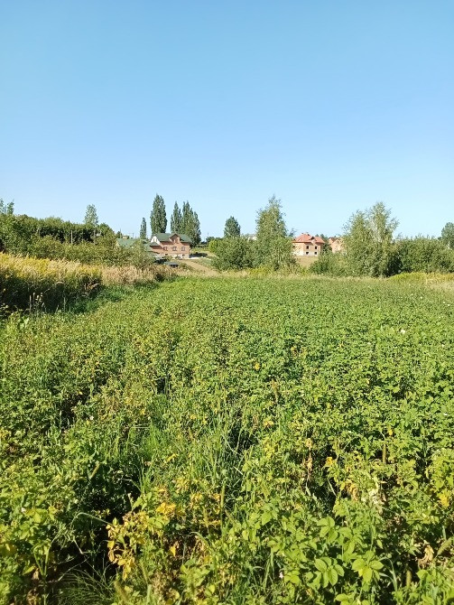 с. Гряда продаж земельної ділянки під забудову Львів - зображення 3