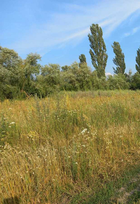 продажа участок под жилую застройку Иванковский, Тетеревское, 6000 $  - изображение 6