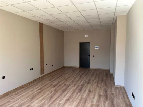 Чорних Запорожців вул 26А, офіс 33м Киев