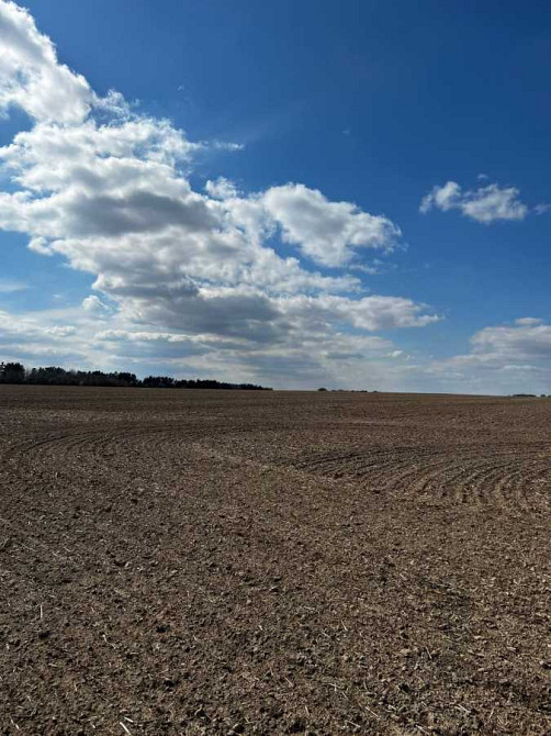 Продаж ділянки під будівництво, Грузьке, площа 6,0359 га Від власника!  - зображення 3