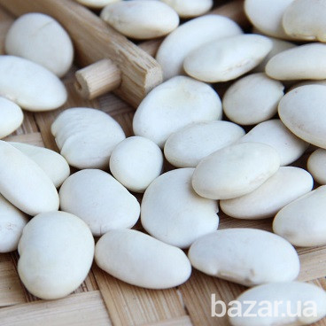 Переробник закуповує квасолю білу Чернігів - зображення 1