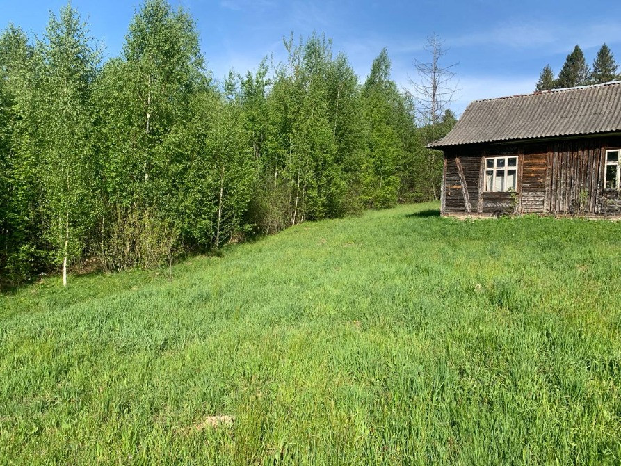 Земельна ділянка в Яремче 0.25 га Яремче - зображення 3