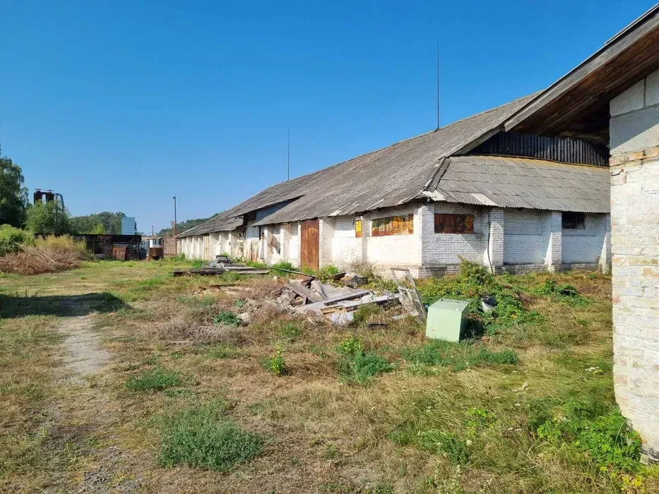 Продаж виробничо-складського комплексу 1,5 га ЖД гілка Броварський р-н Бровари - зображення 4