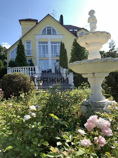 Оренда шикарного будинку в Обухівському районі. Код: 139370 Київ - зображення 11