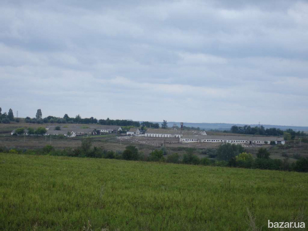 продажа помещения свободного назначения, здания Криничанский, Малософиевка, 200000 $  - зображення 1