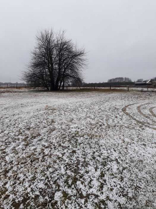 продаж ділянка під житлову забудову Ковельський, Ковель, 90000 грн. Ковель - изображение 7