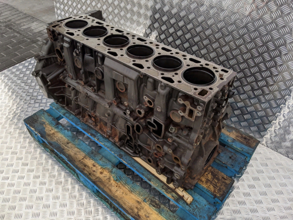 1884746 Блок цилиндров DAF XF 106 Euro 6 Львов - изображение 1