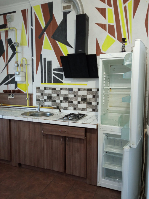 Продам 1 комнатную квартиру пос.Чубинское Киев - изображение 7