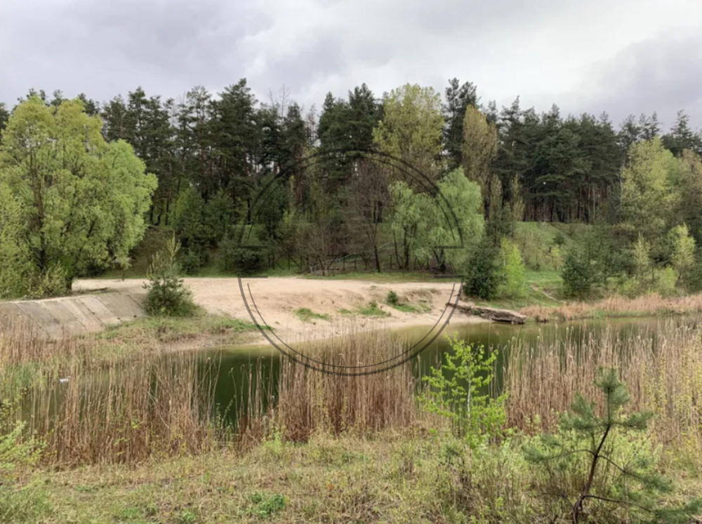 ПРОДАЁТСЯ ЭКО-ДОМ СО СРУБА В ЛЕСУ ВОЗЛЕ ОЗЕРА с.Малая Александровка Бориспольского района Киев - изображение 8