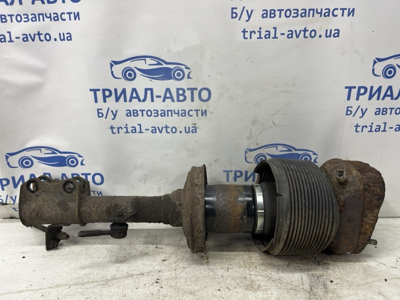 Амортизатор задний Lexus RX 350 2003-2009 4854049225 (Арт. 79429) Киев - изображение 1
