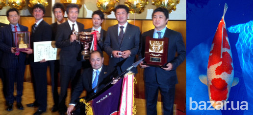 рибки для ставка,короп коі Україна,корм для коі,німфеї,водні рослини,японський короп коі ціна,ставок Київ - зображення 6