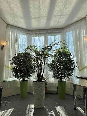 продажа 3-к квартира Броварский, Зазимье, 84999 $ 