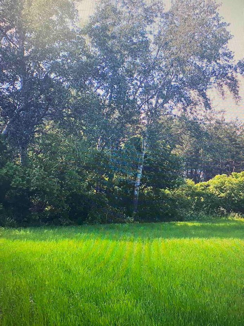 Пропоную купити ділянку в селі Бабайківка вул. Лісова. Дніпро - зображення 2