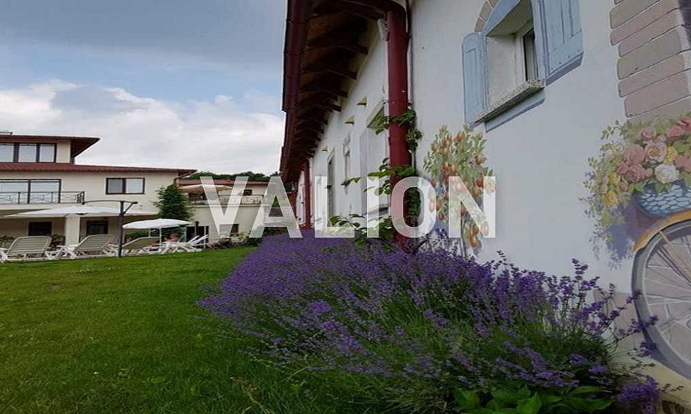 продажа отель Хустский, Шаян, 1150000 $  - изображение 7