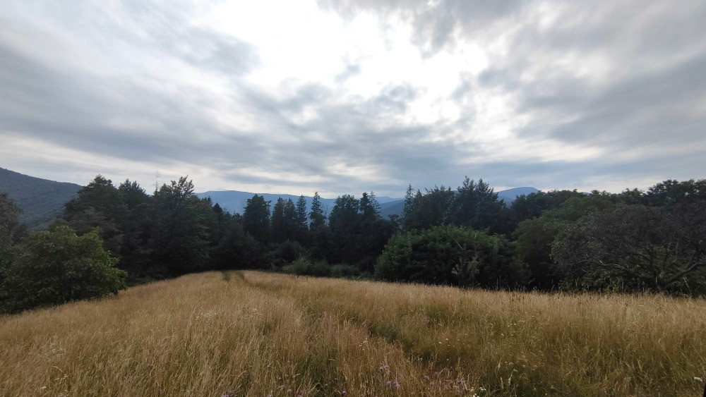 Земельна ділянка в Яремче 0.76 га Яремче - зображення 8