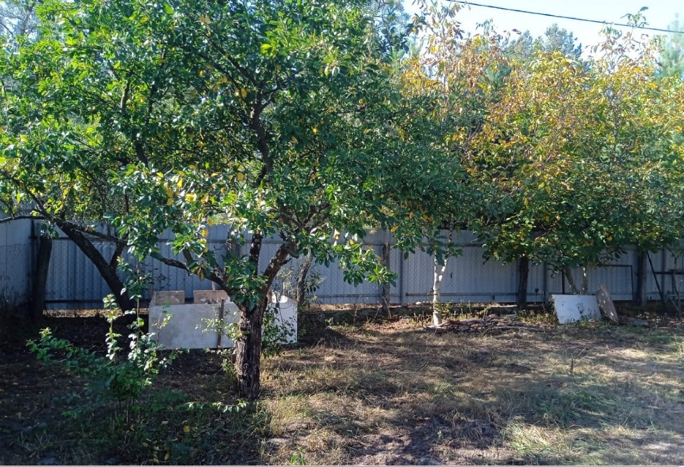 Продам новий будинок поруч з Києвом Киев - изображение 11