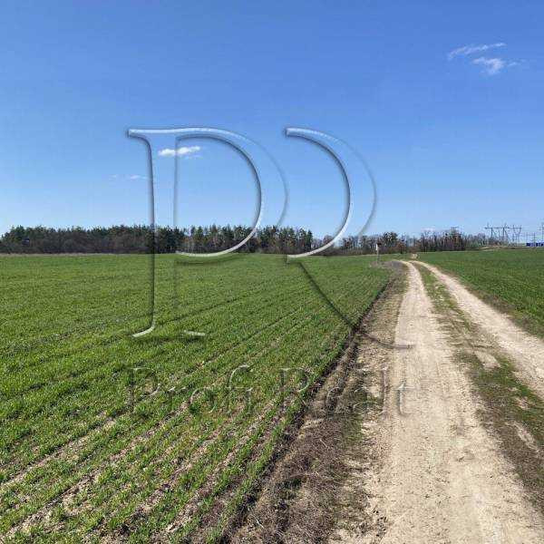 продажа участок под жилую застройку Киево-Святошинский, Хотов, 69999 $  - зображення 1