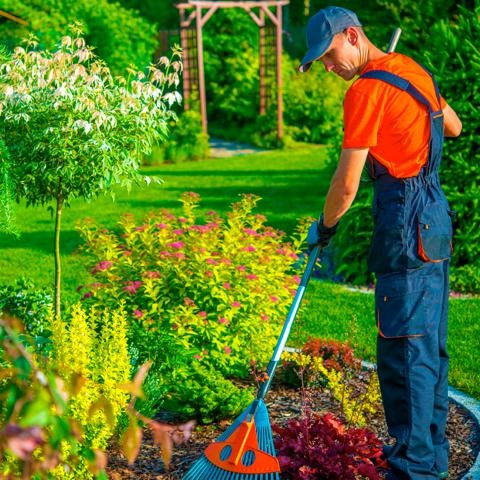 Шукаємо двірника, пропонуємо проживання Київ - зображення 1