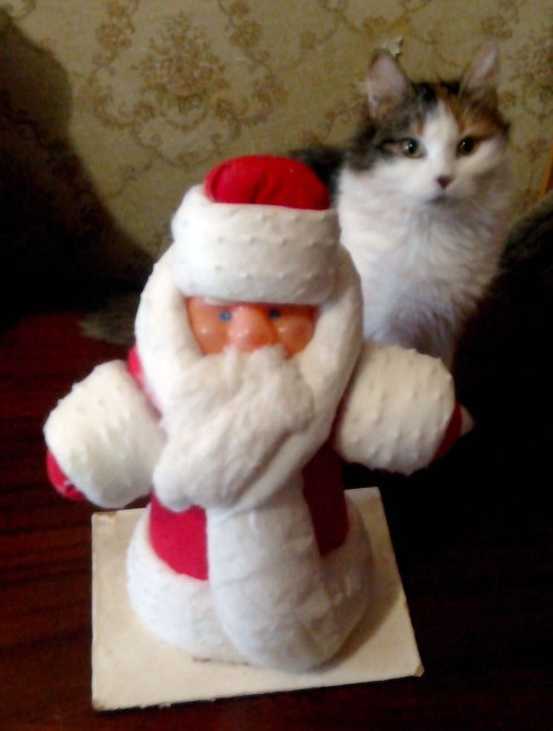 Антикварні речі з СРСР: Дід Мороз, ролики, черевики лижні Вінниця - зображення 1