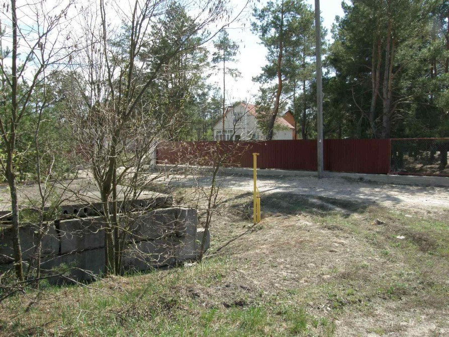 Продаж 10 соток біля лісу з газом і світлом | Вища Дубечня Вышгород - изображение 9