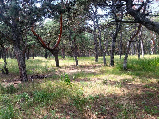 продажа участок под жилую застройку Днепр, Самарский, 30000 $ Дніпро - зображення 1
