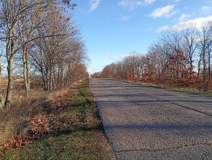 Княжичі. Продам фасадну ділянку 84сот Бровары - изображение 8