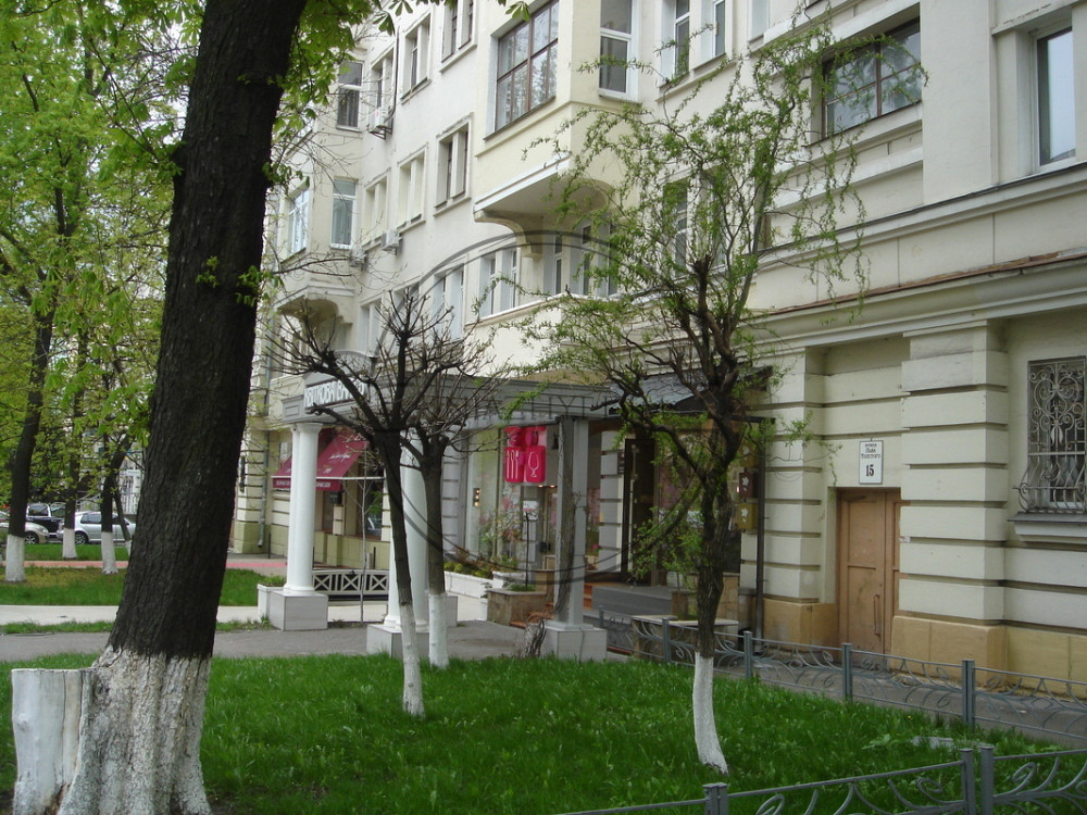 Шикарная 3-х к. кв., VIP-класса, возле Ботанического сада. Код 11107954 Київ - зображення 3