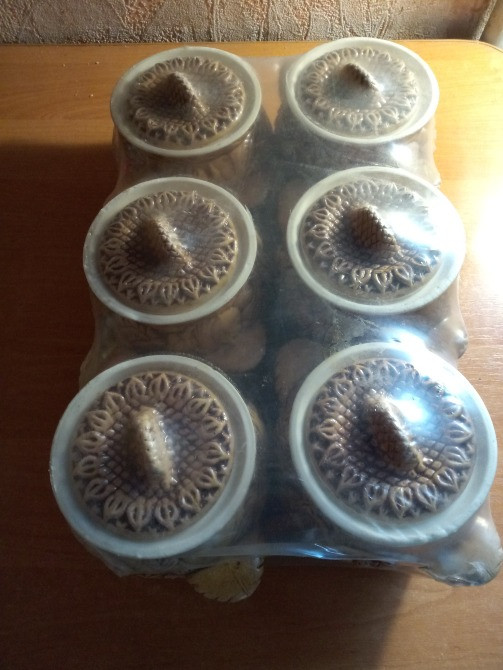 Горшочки для духовки. Трускавець - зображення 1