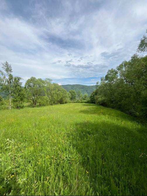Земельна ділянка 0.18 га в Яремче Яремче - изображение 10